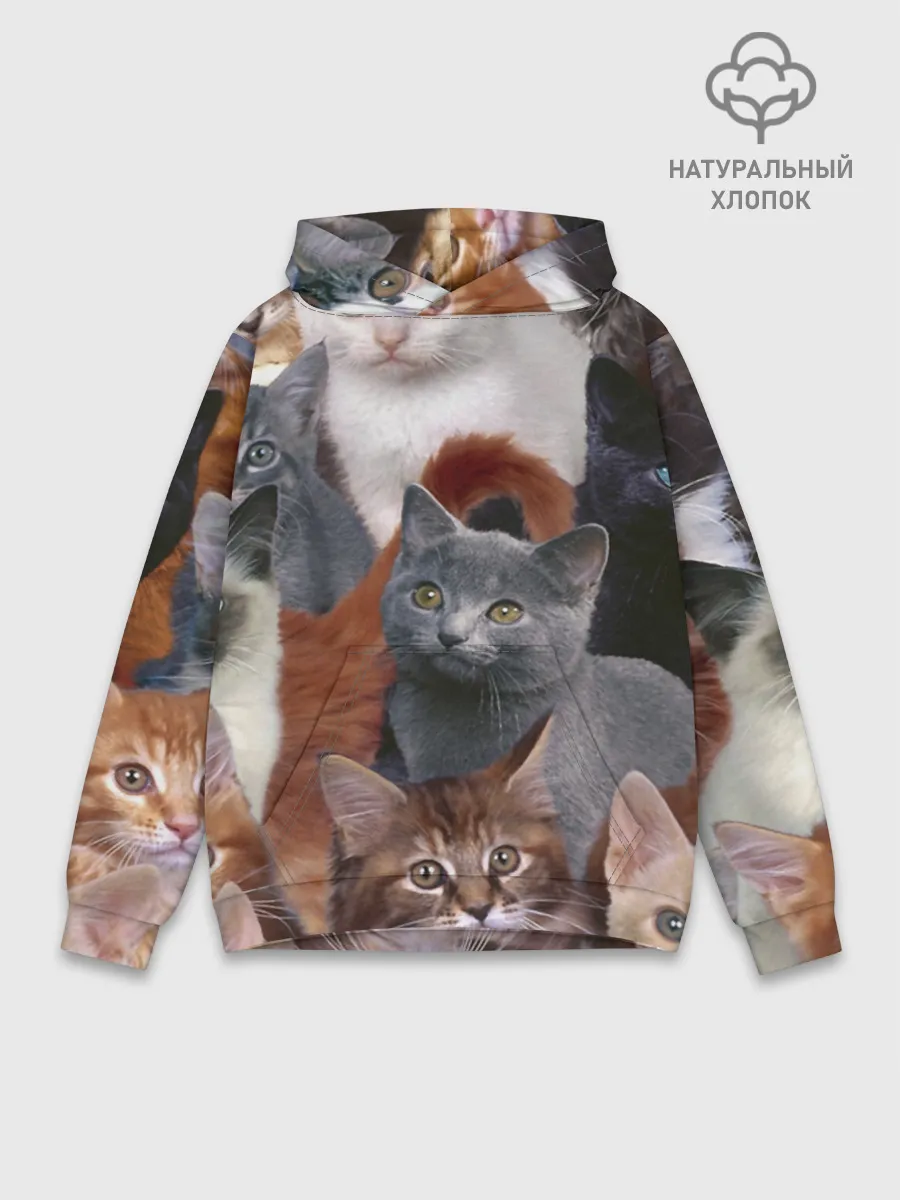 Худи мужской база хлопок / КОТЯТКИ