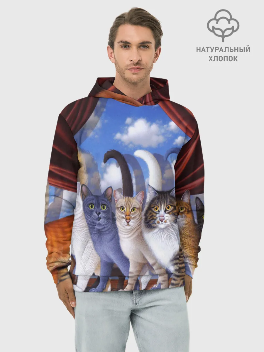 Худи мужской база хлопок / Коты