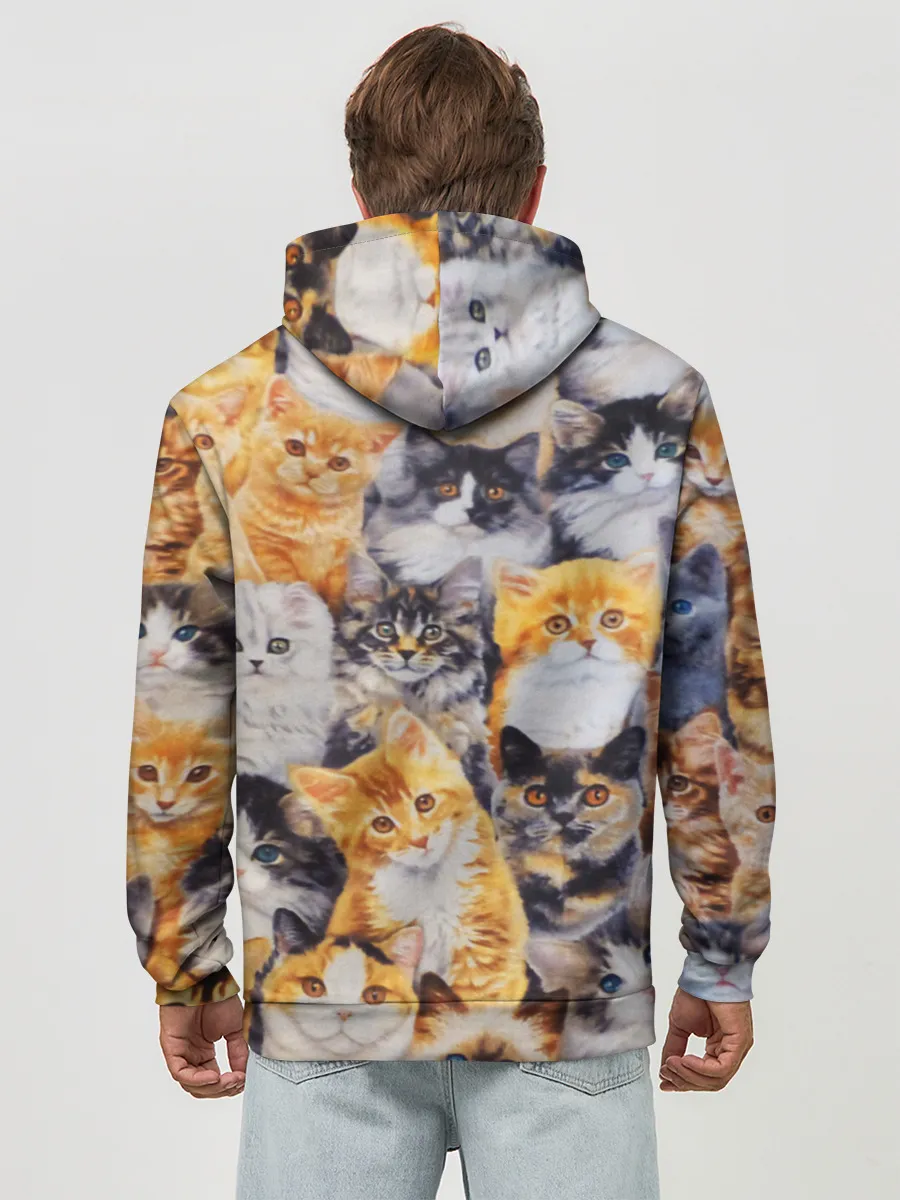 Худи мужской база хлопок / КОТЯТКИ