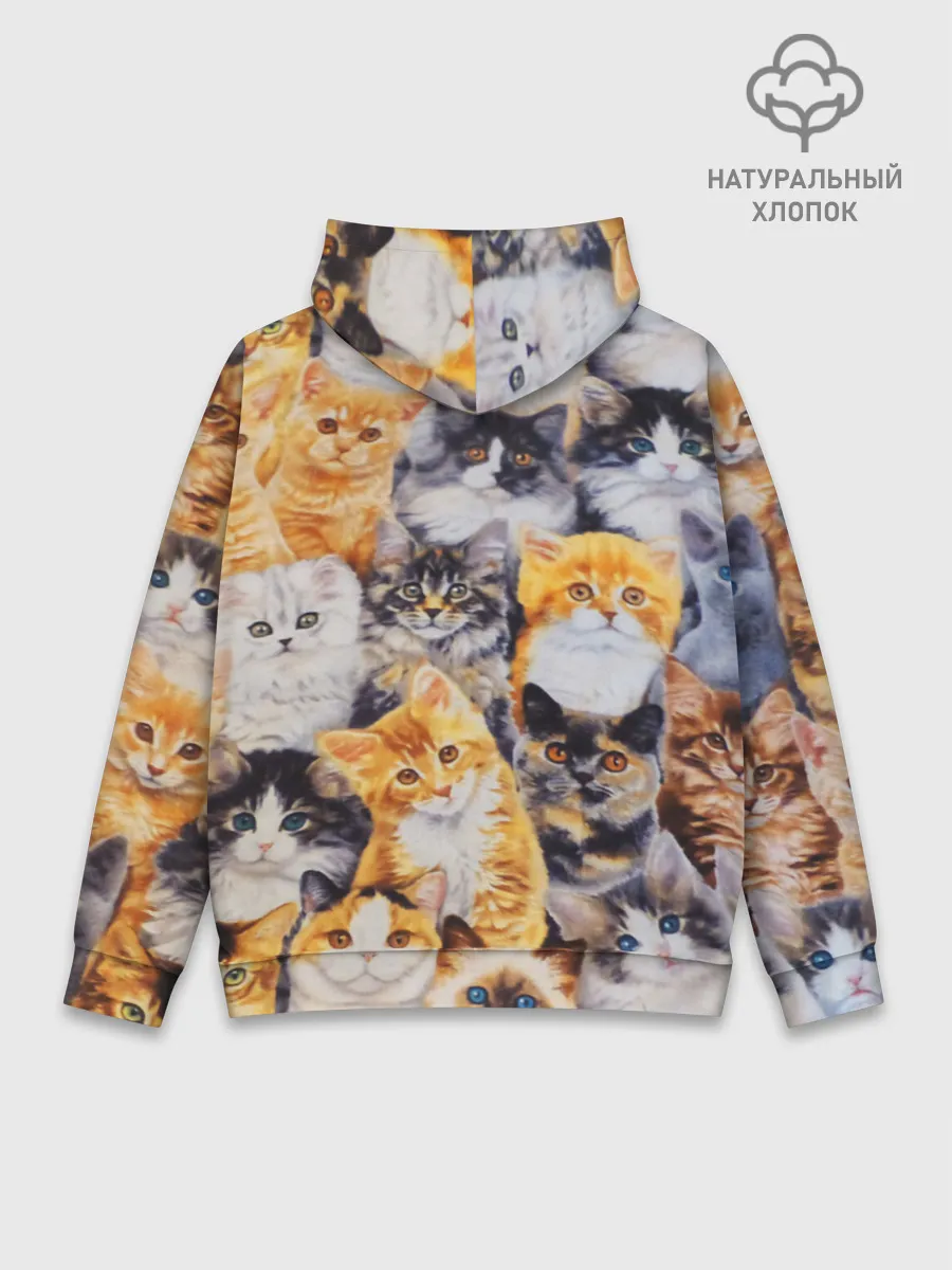 Худи мужской база хлопок / КОТЯТКИ