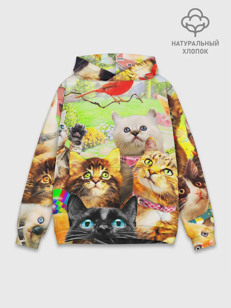 Худи мужской база хлопок / КОТЫ