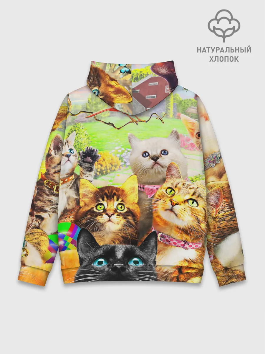 Худи мужской база хлопок / КОТЫ