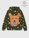 Худи мужской база хлопок / Corgi | Stars