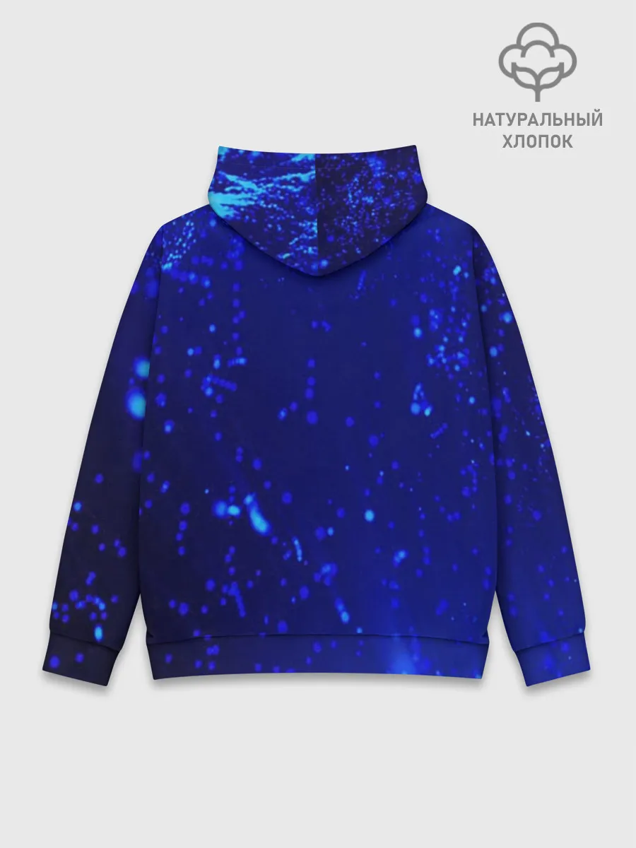 Худи мужской база хлопок / Котик под Дождем