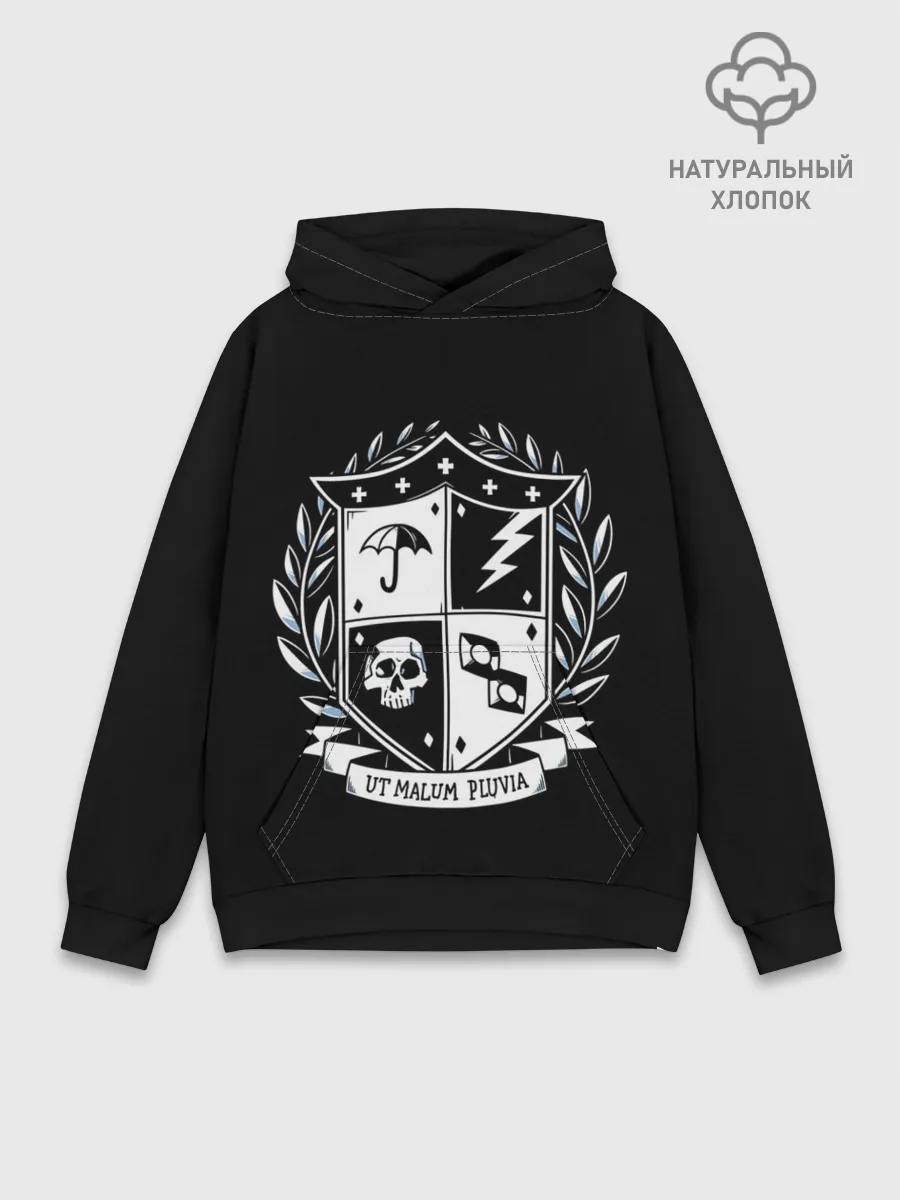 Худи мужской база хлопок / Академия Амбрелла