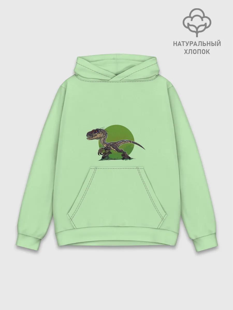 Худи мужской база хлопок / IndoR