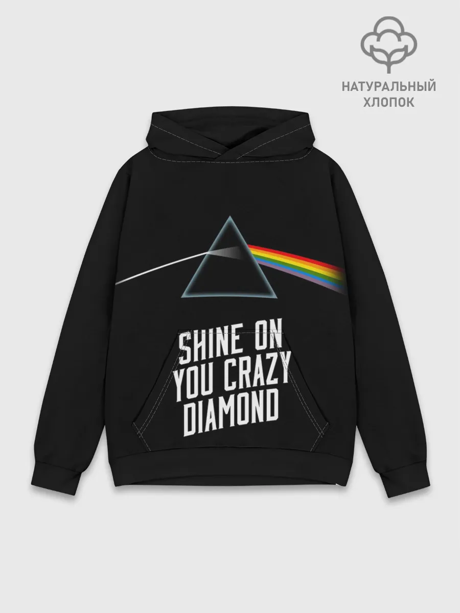 Худи мужской база хлопок / PINK FLOYD