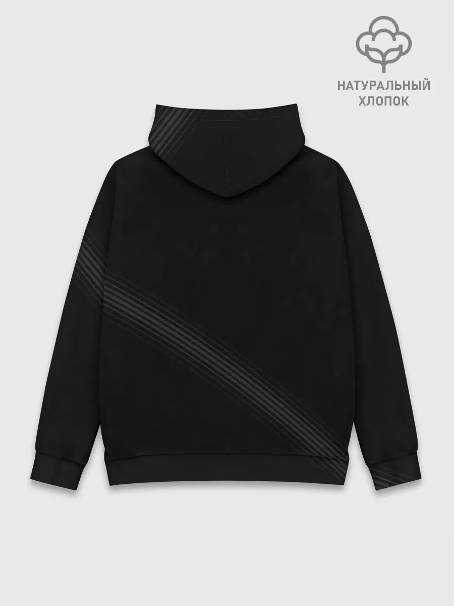 Худи мужской база хлопок / ASTRALIS CS:GO