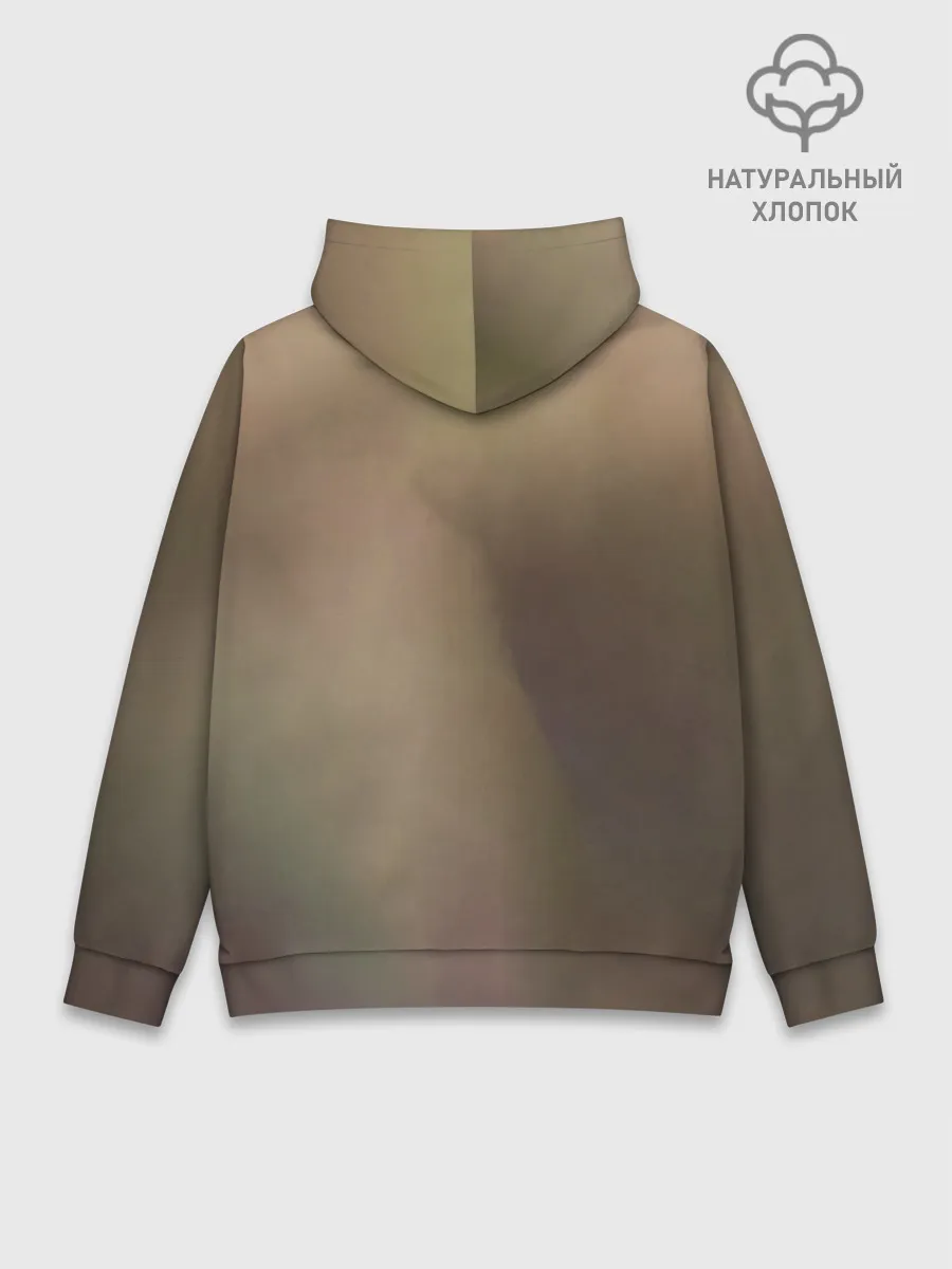 Худи мужской база хлопок / Белка