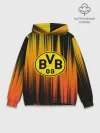 Худи мужской база хлопок / Borussia