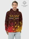 Худи мужской база хлопок / GUSSI / ГУСИ