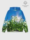 Худи мужской база хлопок / Подснежники