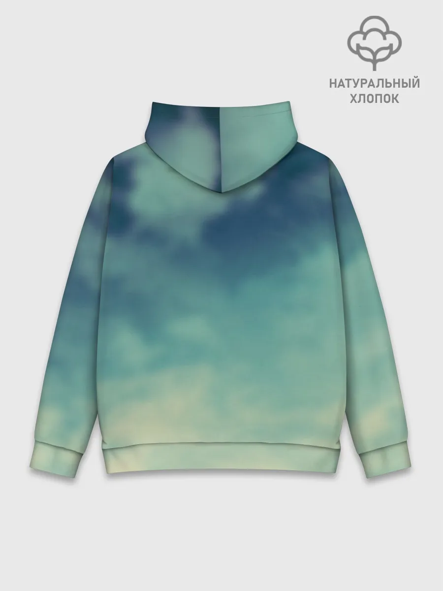 Худи мужской база хлопок / Рафталия