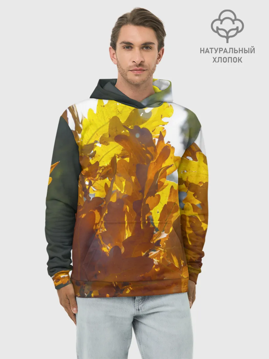 Худи мужской база хлопок / Букет из осенних листьев