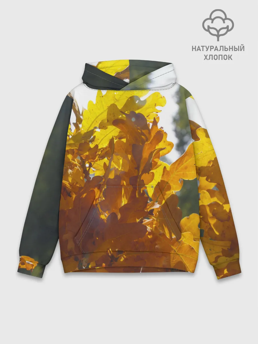 Худи мужской база хлопок / Букет из осенних листьев