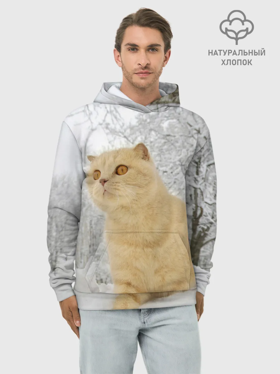 Худи мужской база хлопок / Кот и снег