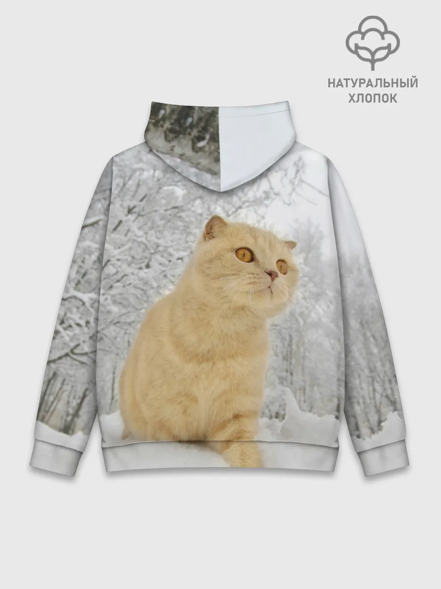 Худи мужской база хлопок / Кот и снег