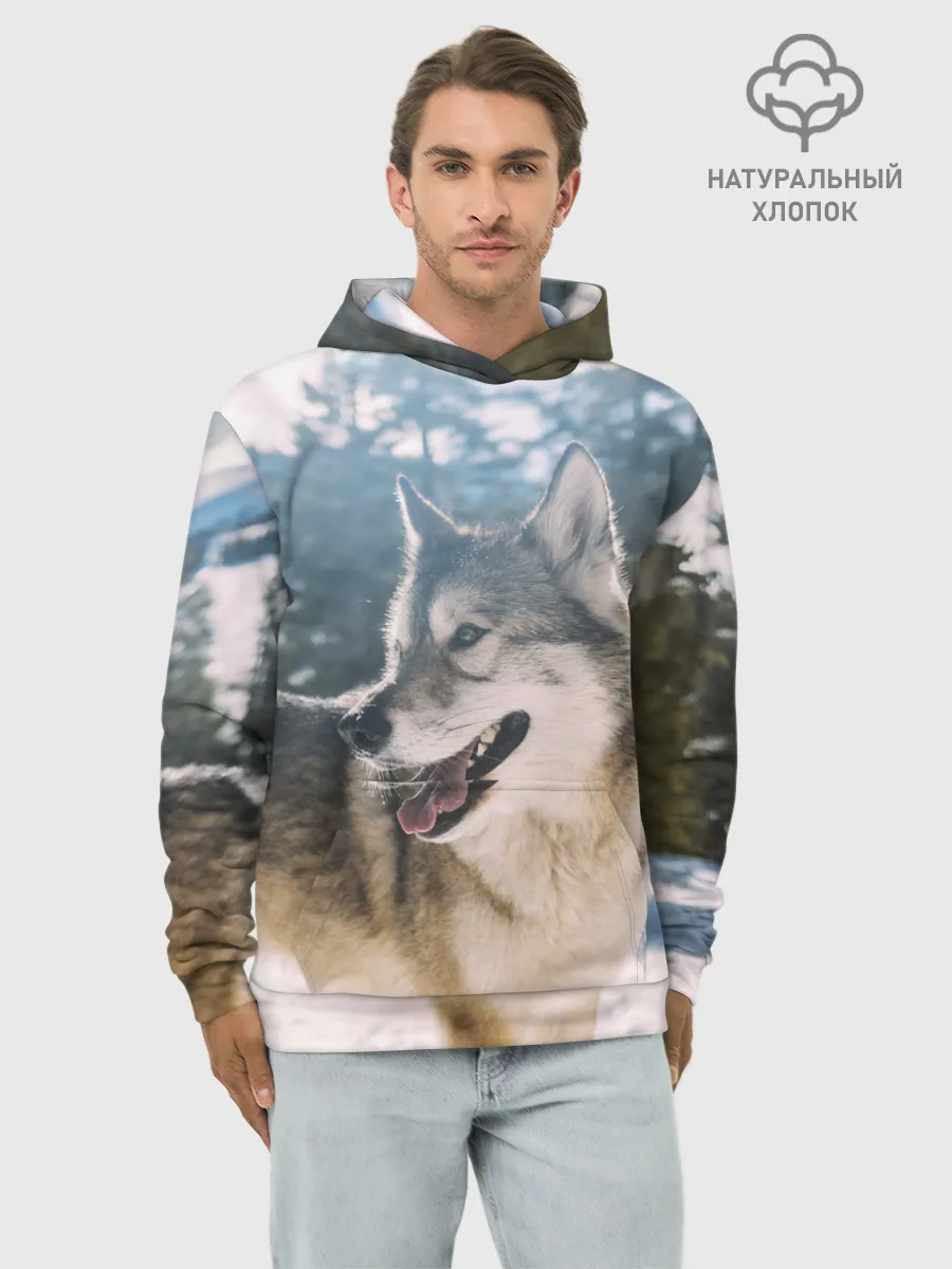 Худи мужской база хлопок / Волк и снег