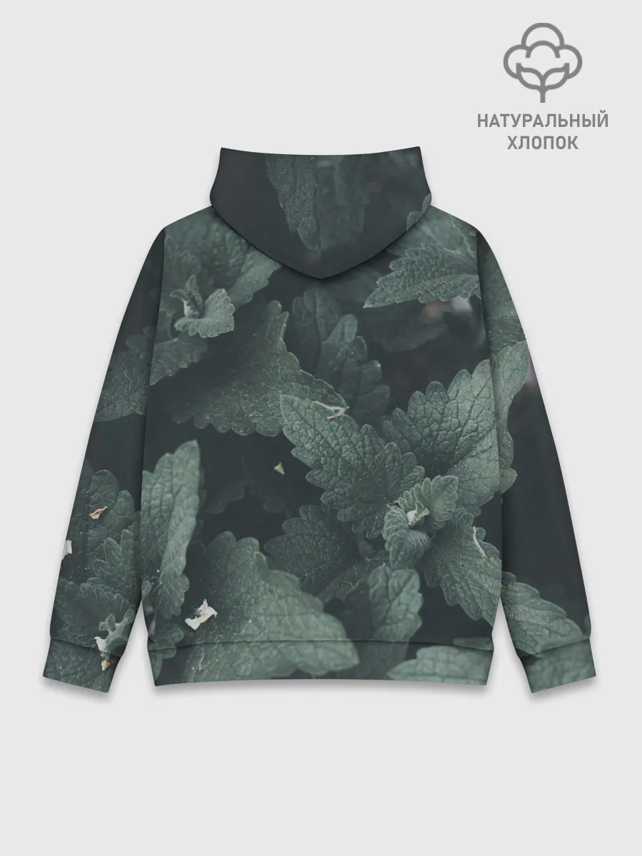 Худи мужской база хлопок / Мята.