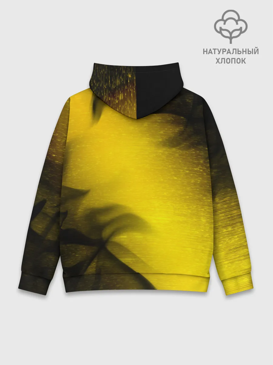 Худи мужской база хлопок / BORUSSIA / Боруссия