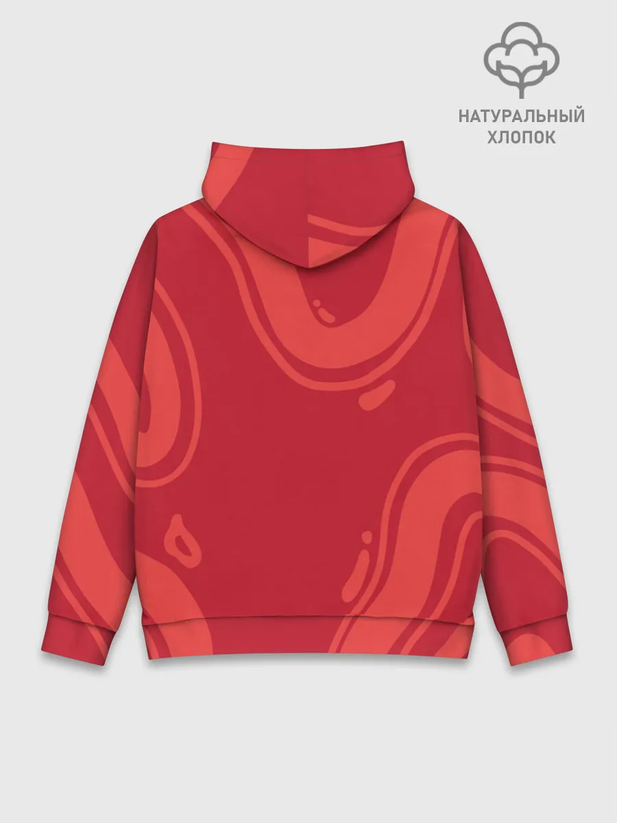 Худи мужской база хлопок / Робби