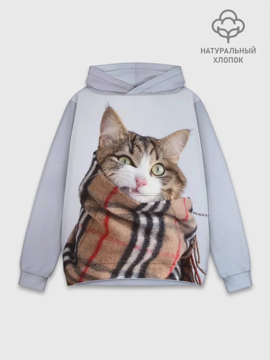 Худи мужской база хлопок / Кот в шарфе