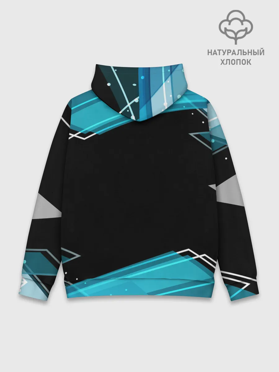 Худи мужской база хлопок / RUSSIA.