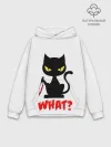 Худи мужской база хлопок / What Cat