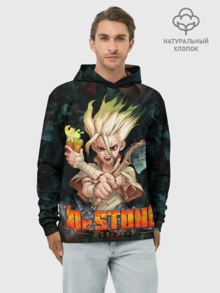 Худи мужской база хлопок / Doctor Stone | Доктор Стоун