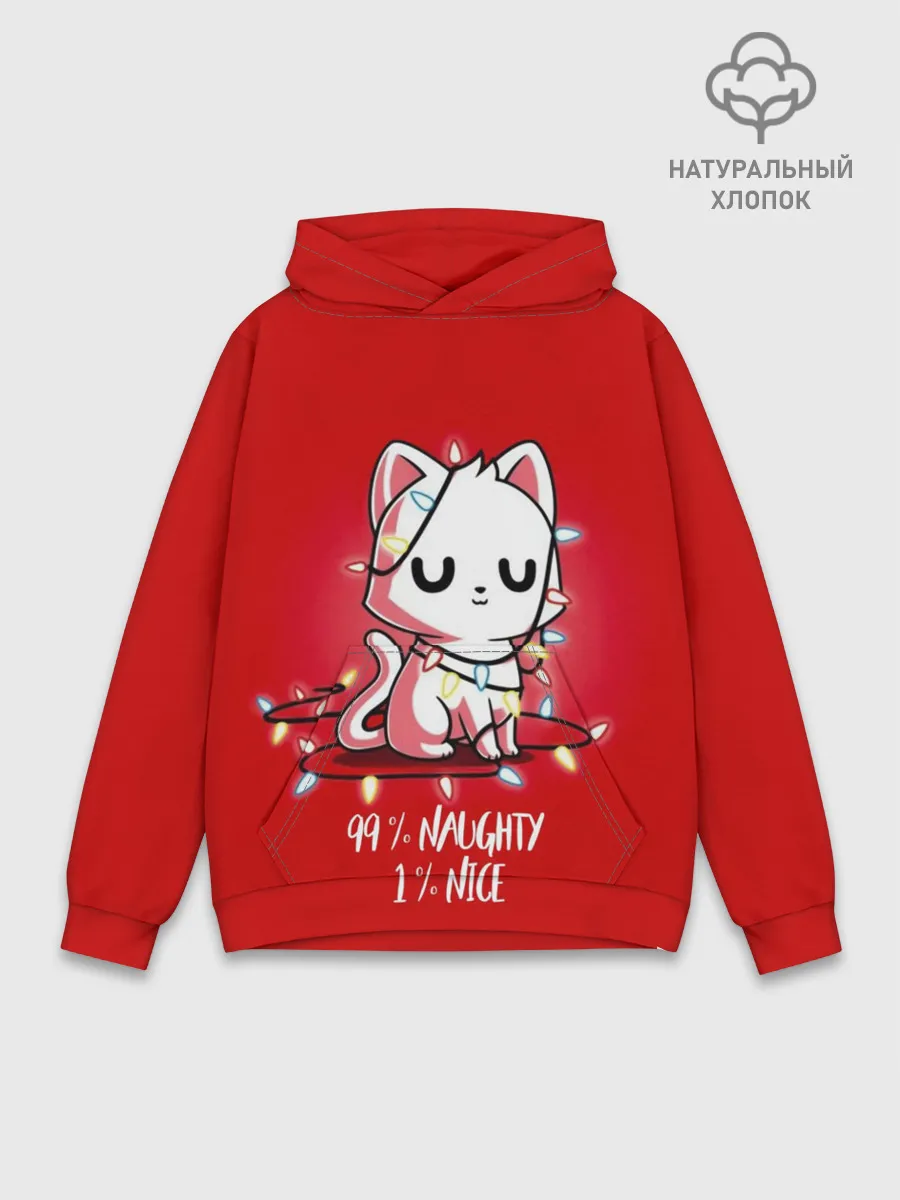 Худи мужской база хлопок / 99% naughty