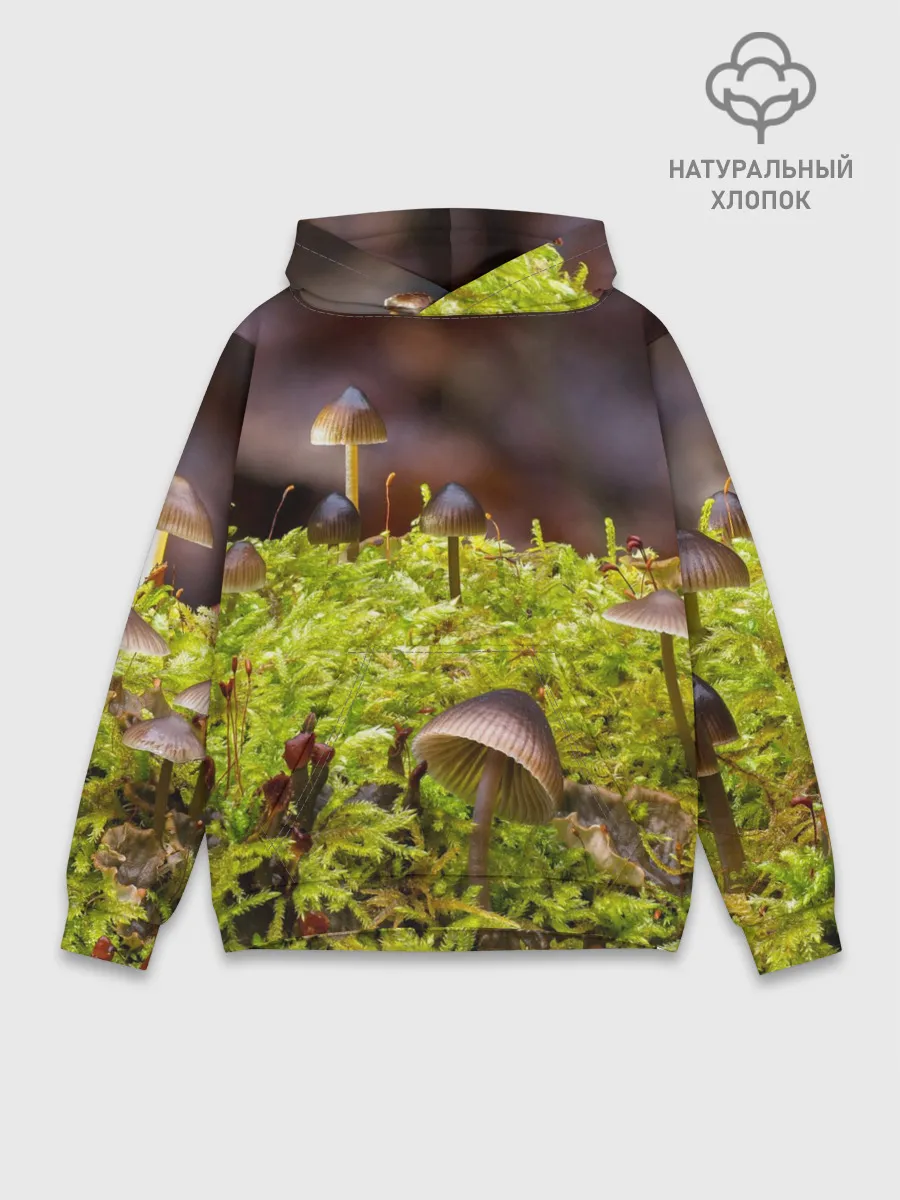 Худи мужской база хлопок / Мох