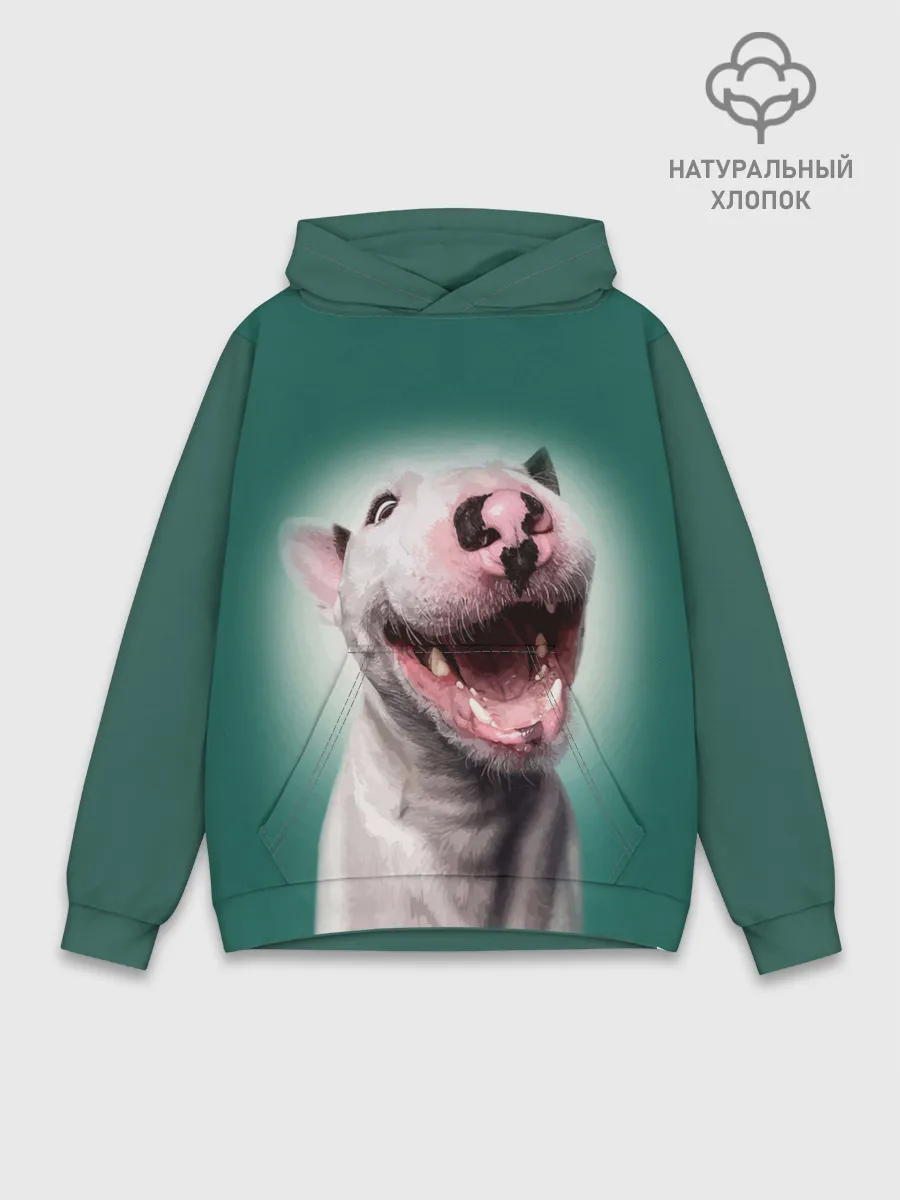 Худи мужской база хлопок / Bully