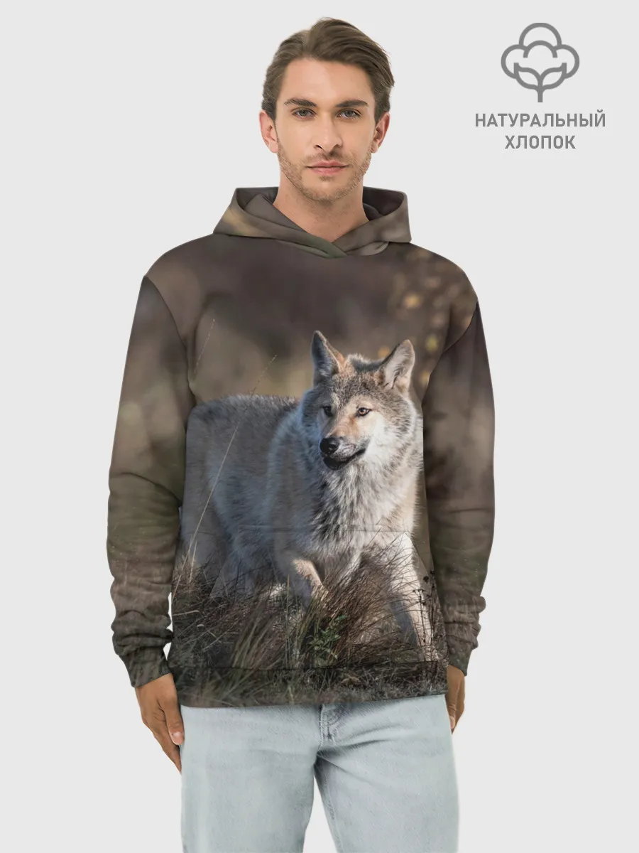 Худи мужской база хлопок / WOLF