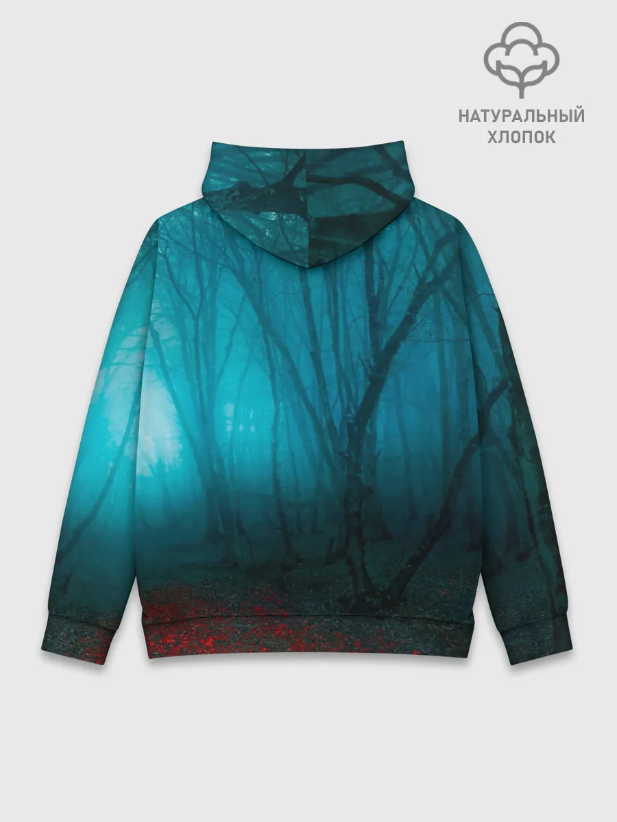 Худи мужской база хлопок / ЪУЪ