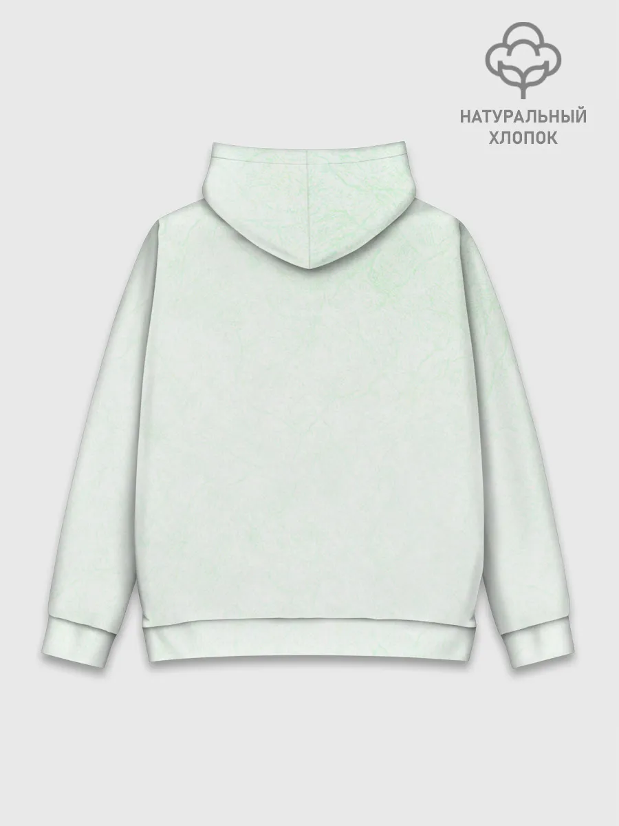 Худи мужской база хлопок / Енот