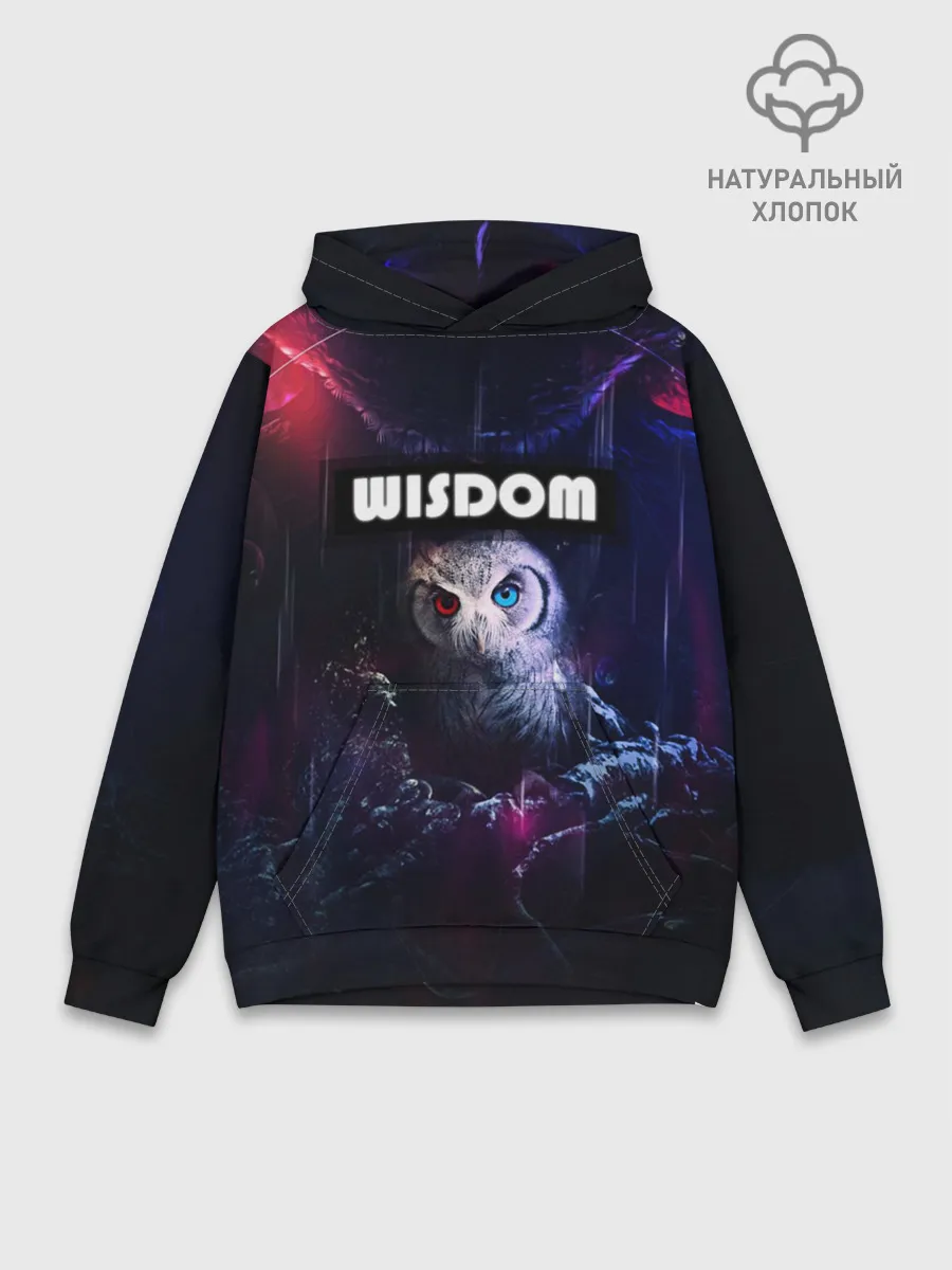 Худи мужской база хлопок / WISDOM