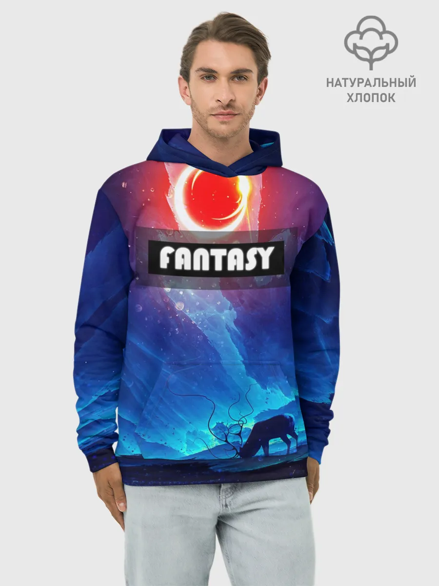 Худи мужской база хлопок / FANTASY