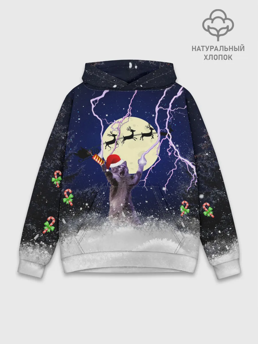 Худи мужской база хлопок / Новогодний Кот