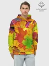 Худи мужской база хлопок / Осенние листья