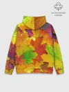 Худи мужской база хлопок / Осенние листья