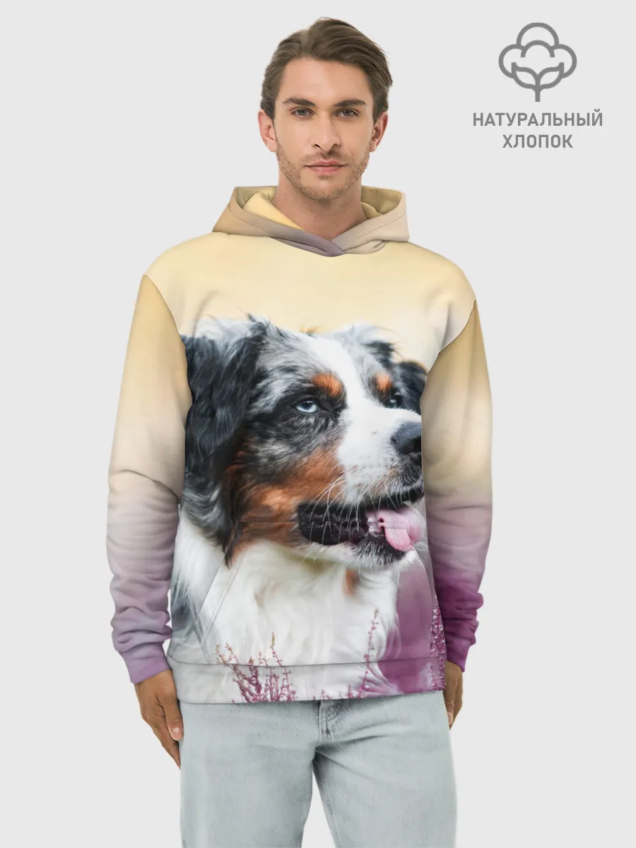 Худи мужской база хлопок / Австралийская Овчарка