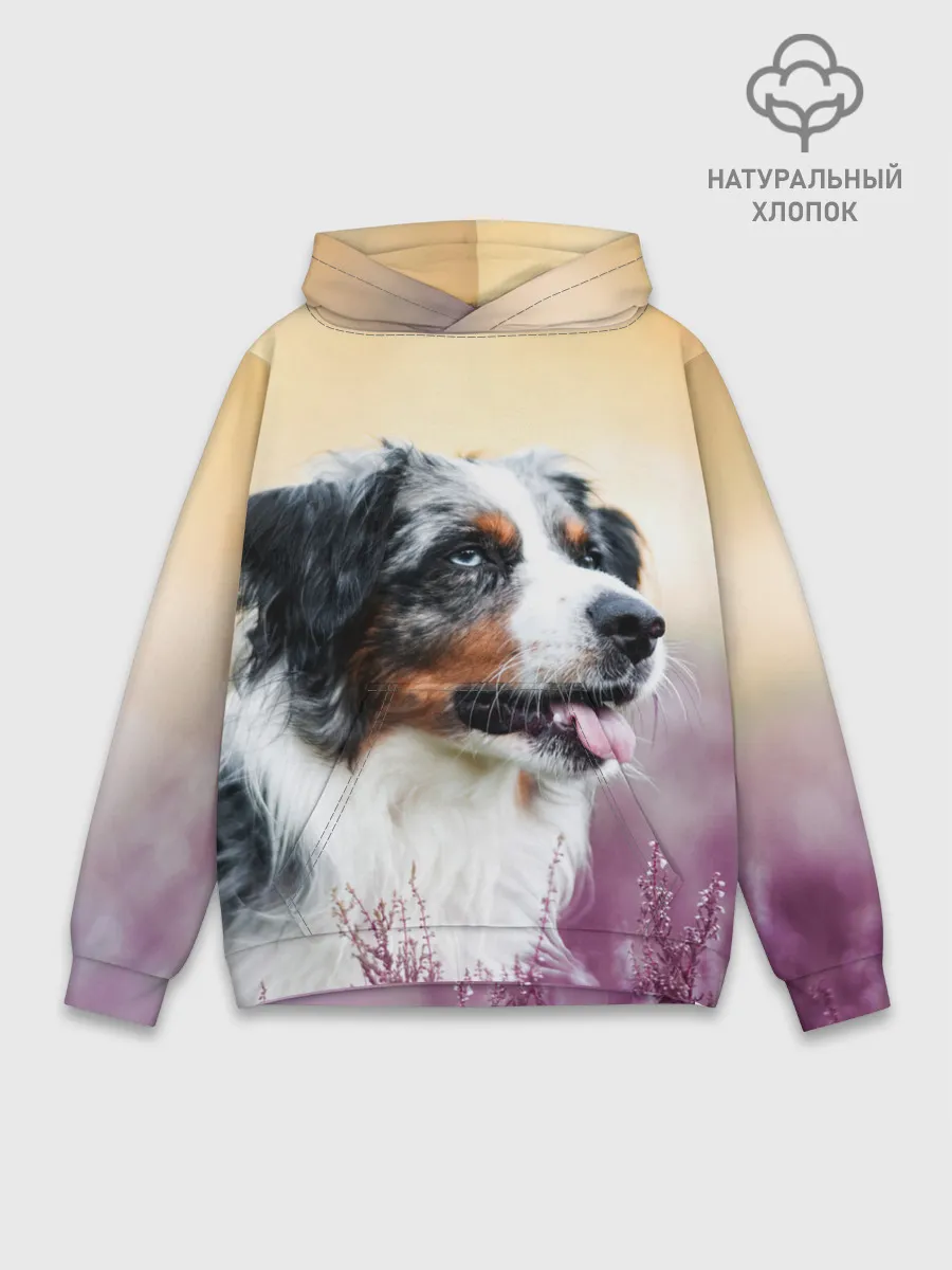 Худи мужской база хлопок / Австралийская Овчарка