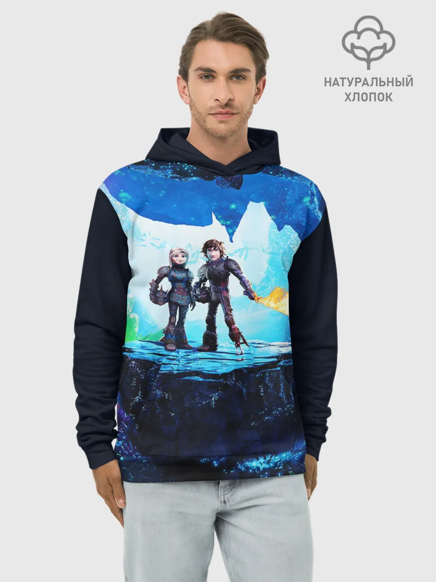 Худи мужской база хлопок / Как приручить Дракона 3
