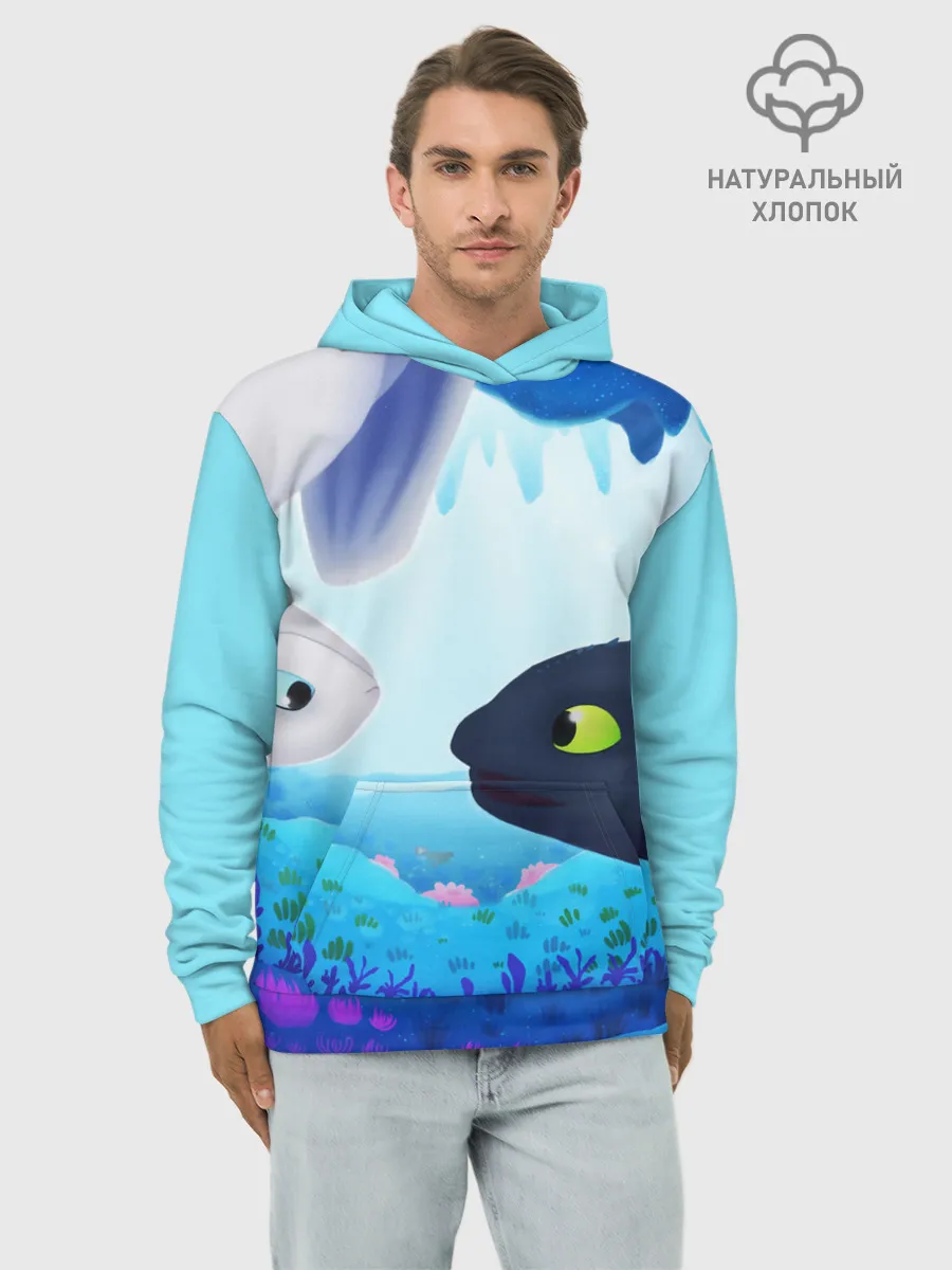 Худи мужской база хлопок / Приручить Дракона