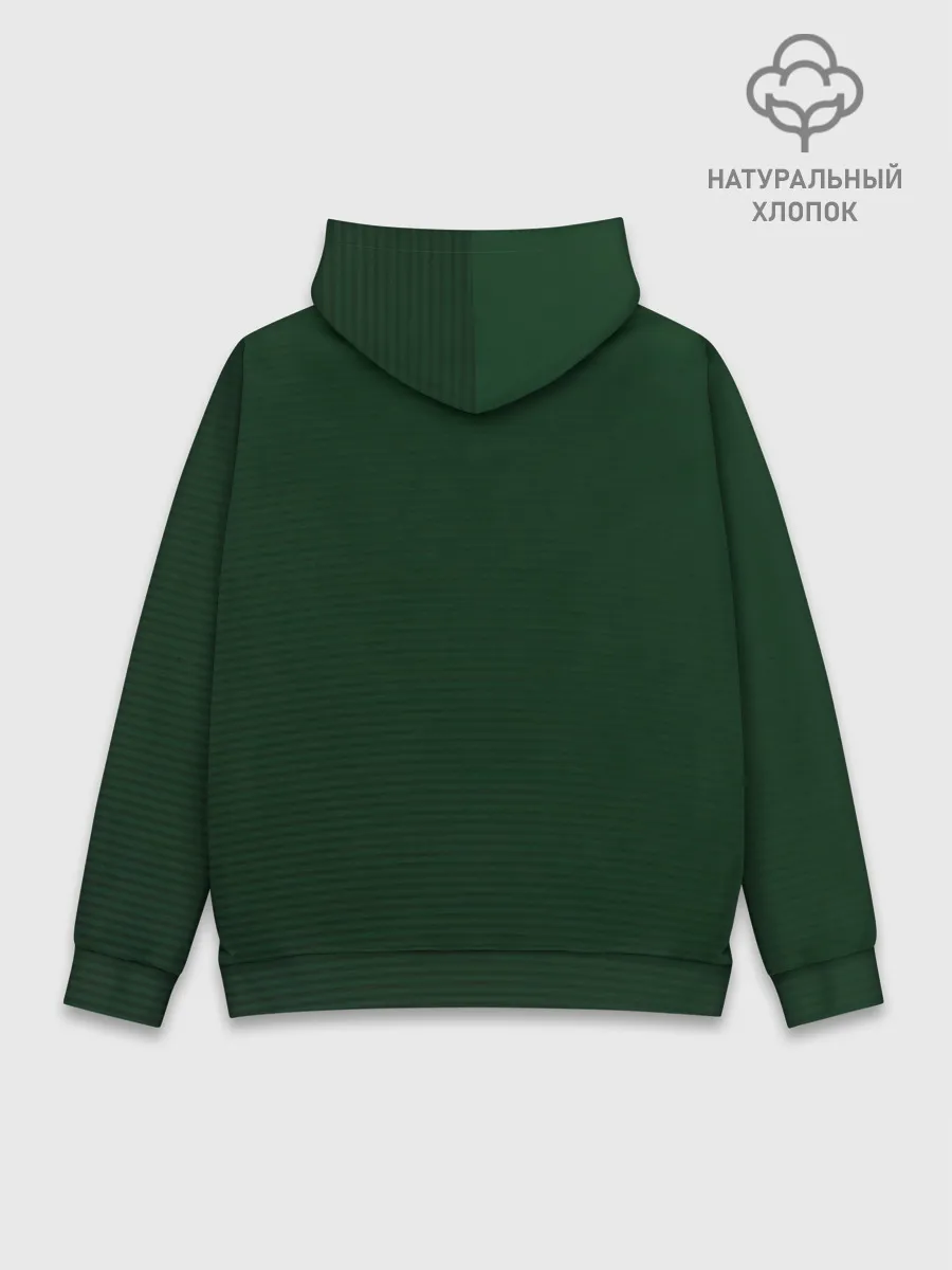 Худи мужской база хлопок / Vault-Boy HP