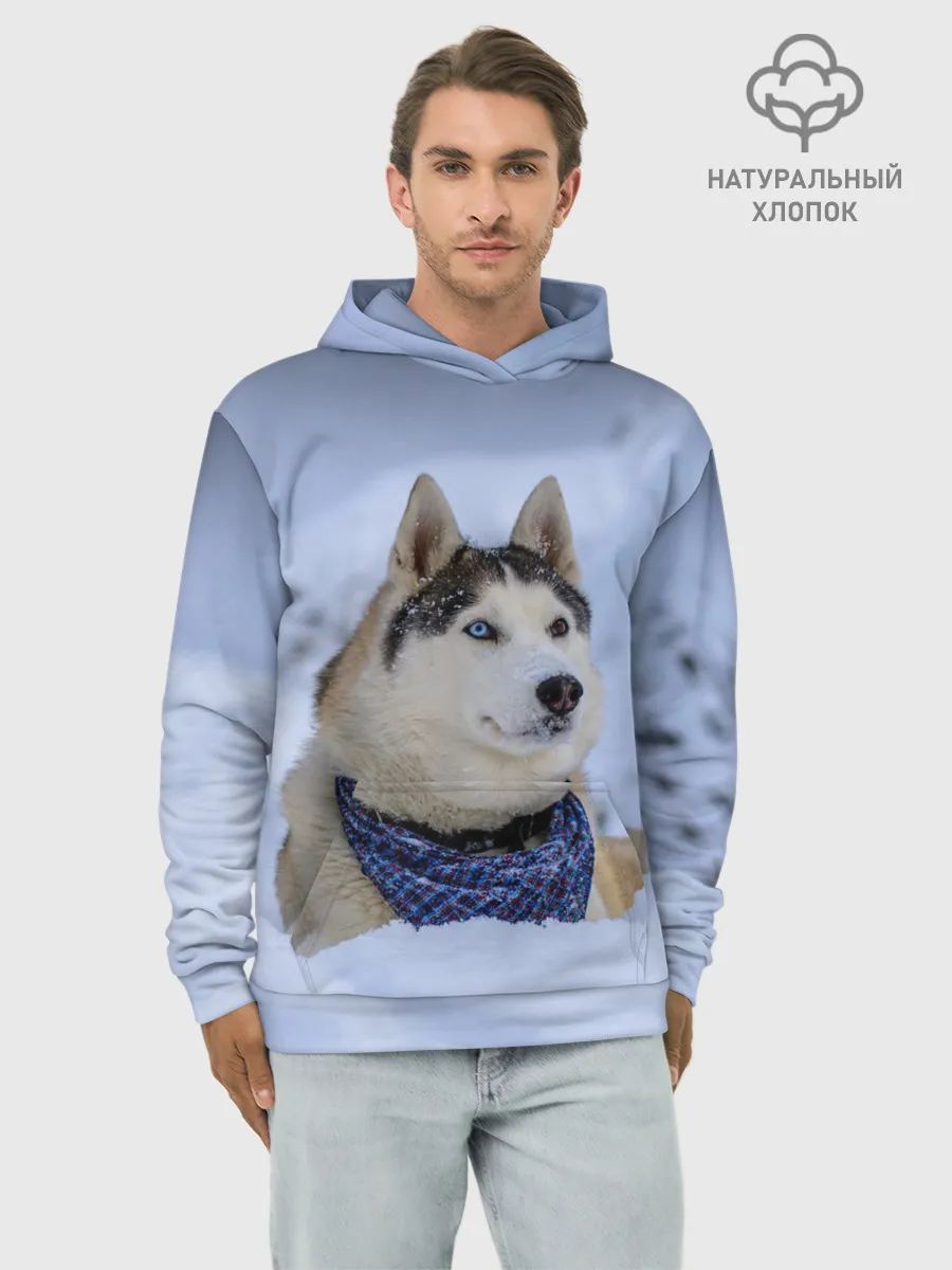Худи мужской база хлопок / Хаски