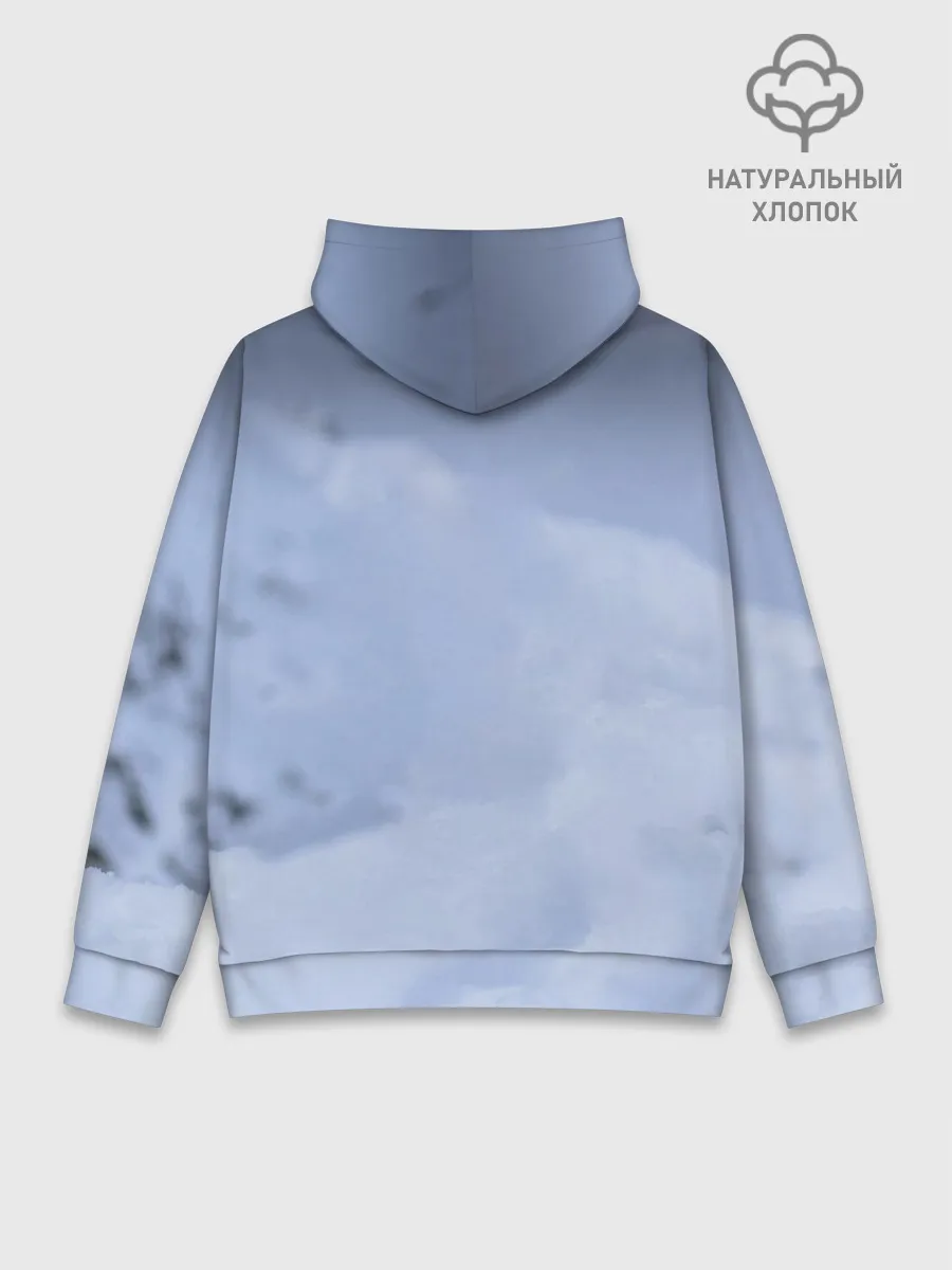 Худи мужской база хлопок / Хаски