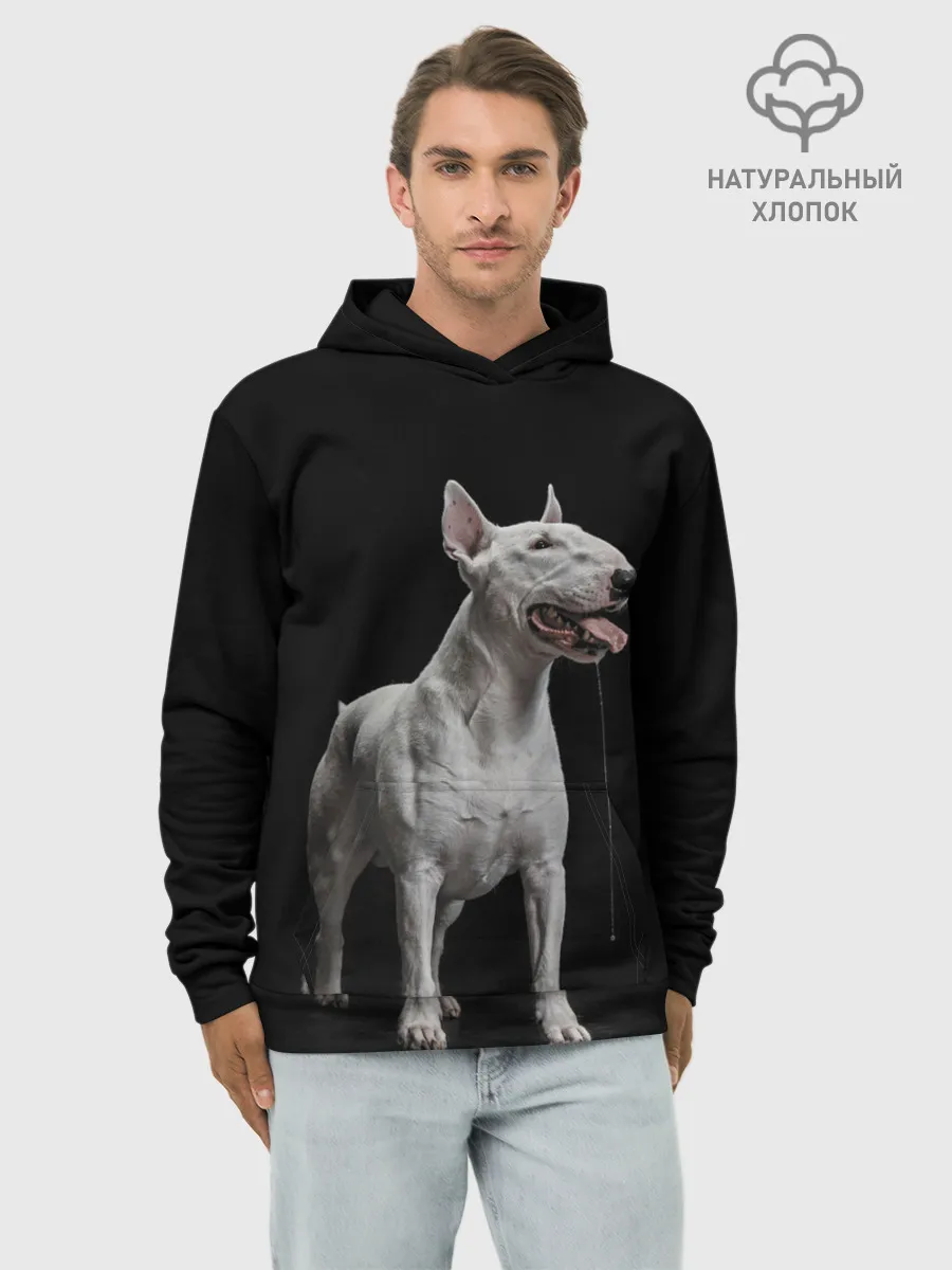 Худи мужской база хлопок / Bully