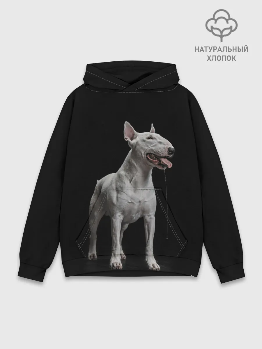 Худи мужской база хлопок / Bully