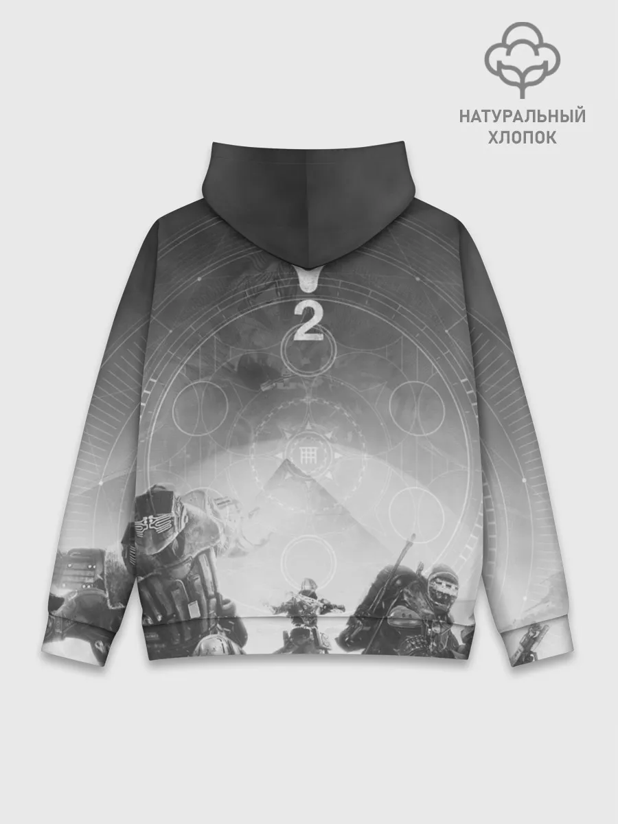 Худи мужской база хлопок / DESTINY